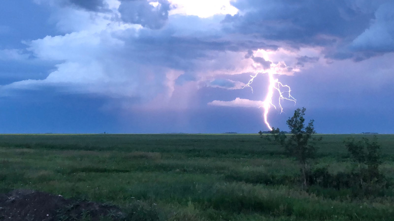 Lightning striking in field