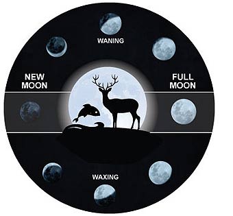 AcuRite hunting and fishing gadgets with Moon Phase
