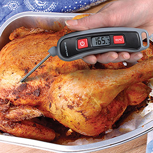 Acu-Rite Silicone Dial Meat Thermometer 03162A1DIX Review, Meat thermometer