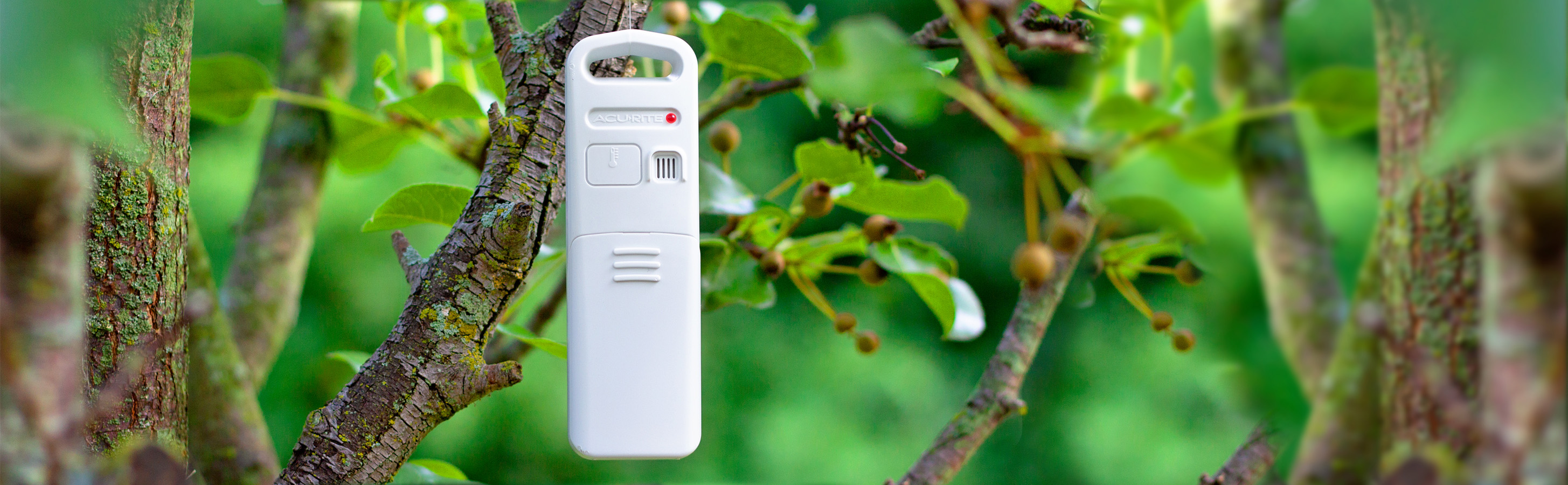 Wireless Temperature and Humidity Sensor banner - AcuRite Weather Monitoring Devices